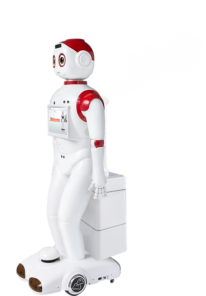 Mandy spray disinfecting bottomless map.png