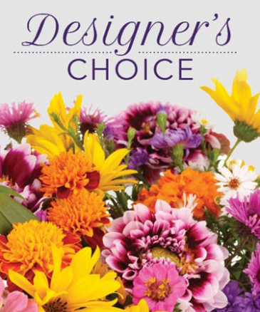 DESIGNER'S CHOICE