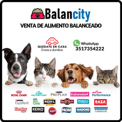 marcas 2