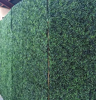 Boxwood Wall.webp