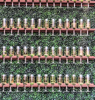 Champagne Wall.webp