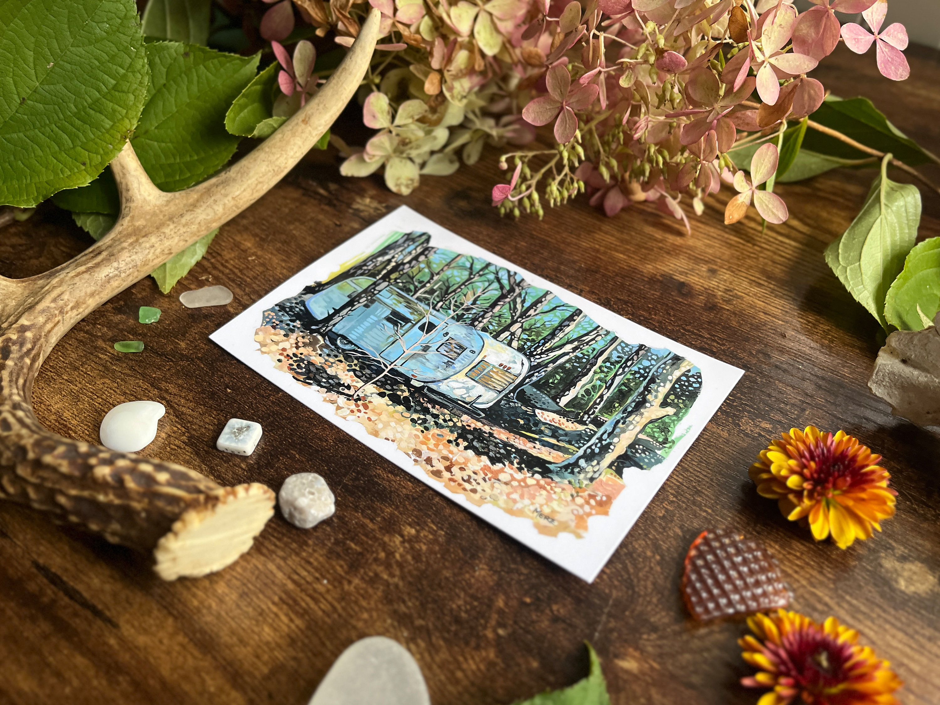 Old Camper Portrait Postcard