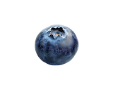 blueberry.png