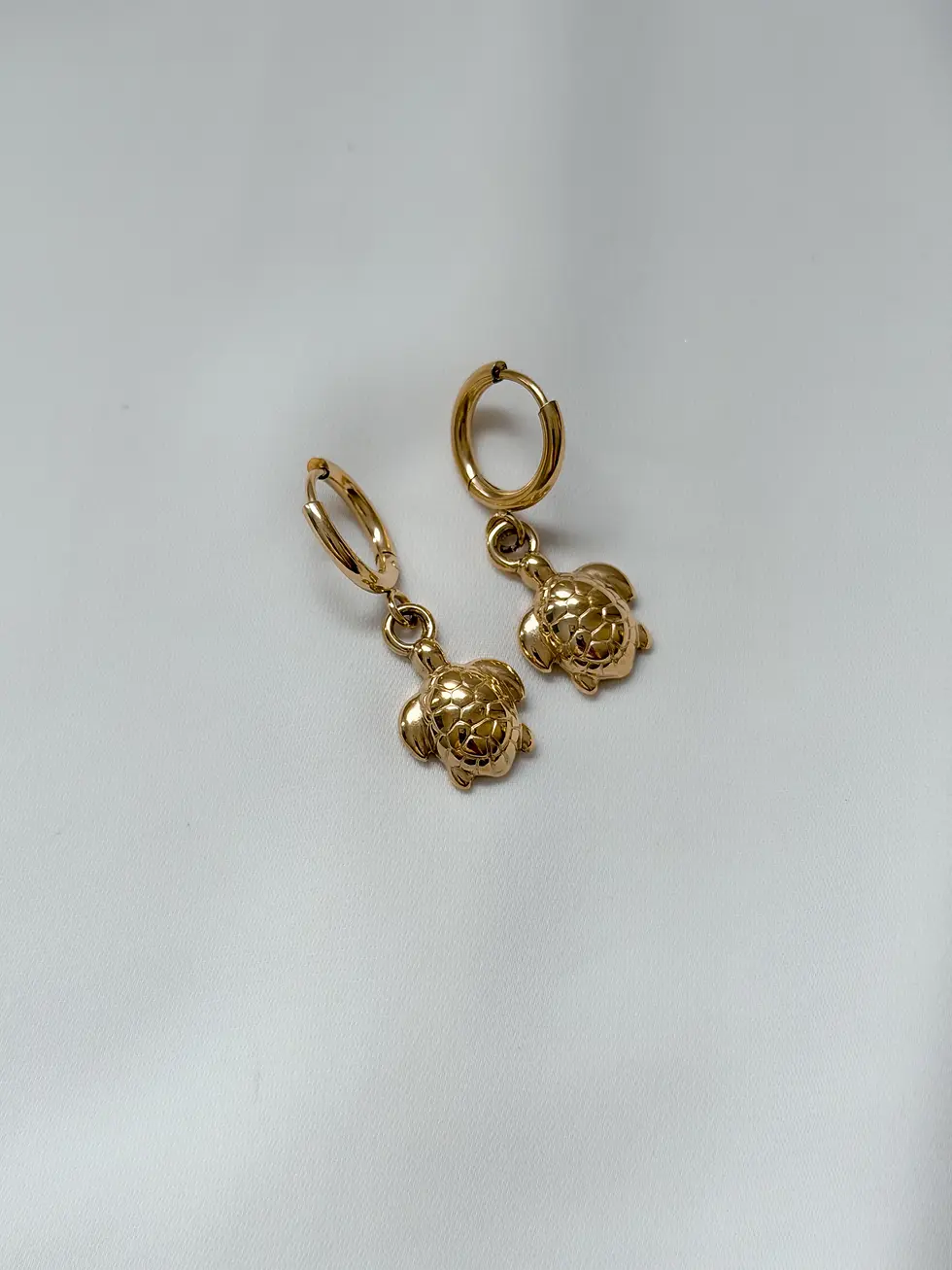 Μικρογραφία: Turtle Hoops