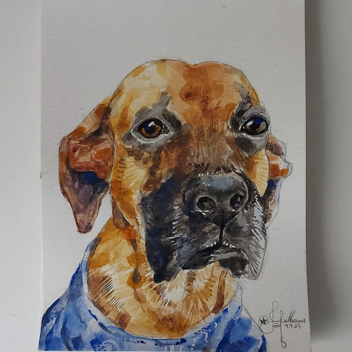 Aquarela A5