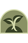 sprout logo.png