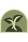 sprout logo.png