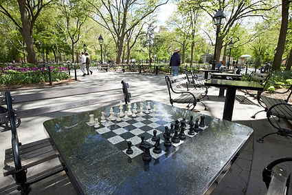 chess pic paid for .jpg