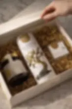 gift (1).webp