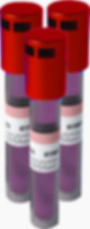 TSI-2024