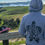 Thumbnail: Turtle Hoodie