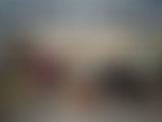 Bondi Ink
The artists