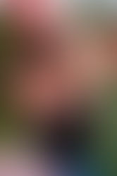 Forever Captured: Why Quality Senior Portraits Are Essential for Preserving Memories