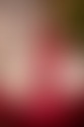 Unlocking the Magic: The Impact of Professional Hair and Makeup on Your Senior Portraits