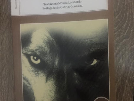 RESEÑA "EL LOBO ESTEPARIO" de Hermann Hesse