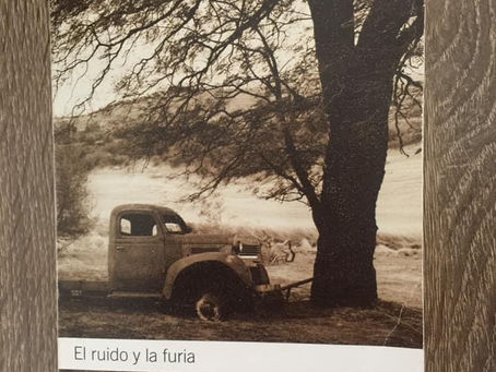 RESEÑA "EL RUIDO Y LA FURIA" de William Faulkner