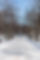 5A1A5985_1.jpg