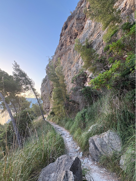 Narrow hiking trail winds beside a steep rocky cliff with pine trees and tall grasses under a clear blue sky at sunrise.