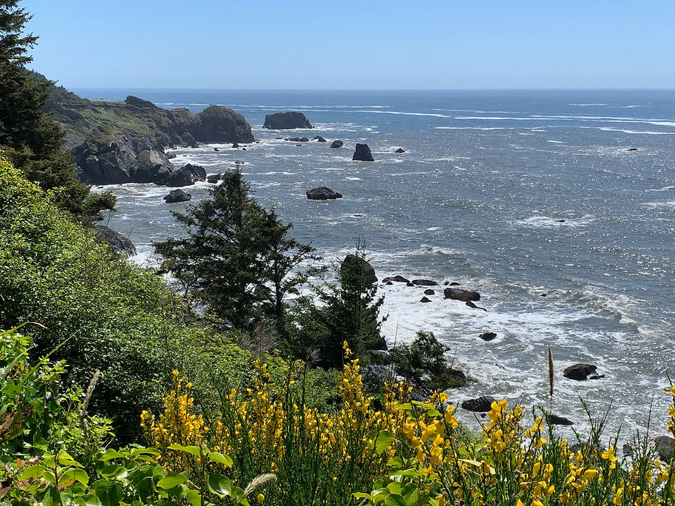 Rocky ocean coastline with cliffs, waves, and yellow wildflowers in the foreground under a clear blue sky