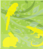 header_07.gif