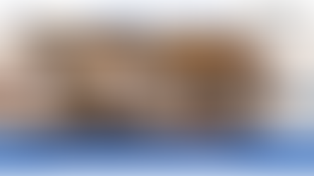 Introducing Carritec!