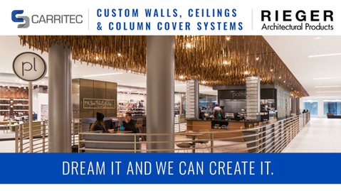 Introducing Carritec!