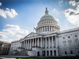 Elizabeth Warren Wants to Trust Big Government with Tech Regulation