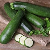 La courgette, recettes et conseils :