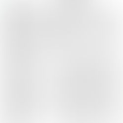 (사)린덴바움 2021년도 연간 기부금 모금액 및 활용실적