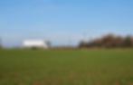 truck-horizon 10.jpg