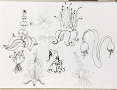 Quick sketches exploring alien and transforming life-forms