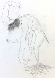 Sketch