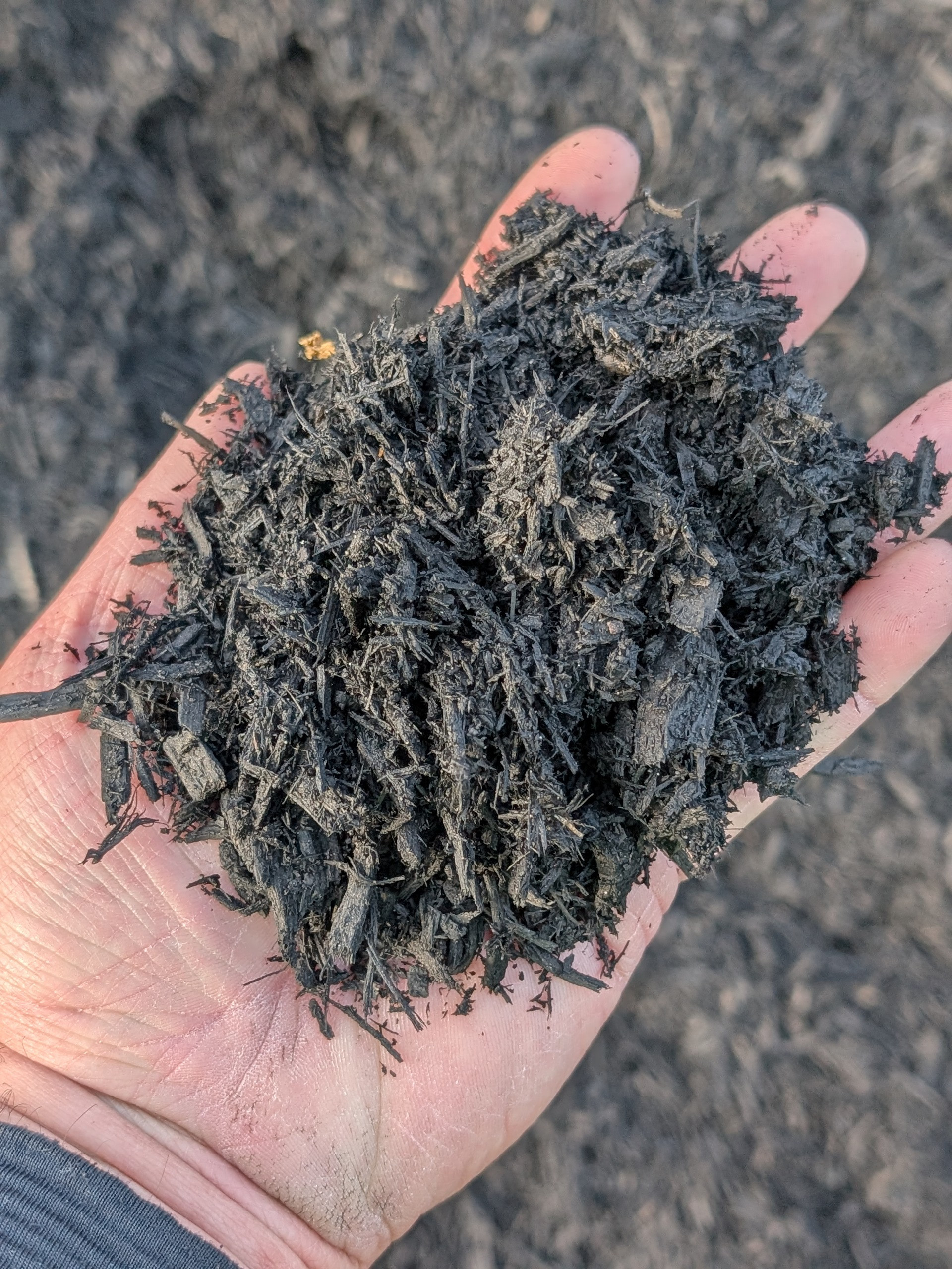 Coal Black Mulch, 1/2 yard Scoop