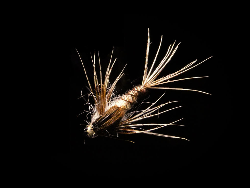 MAY FLY NYMPH