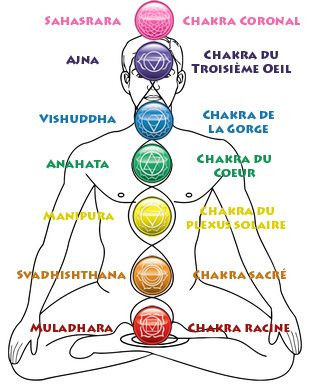Les chakras | Dynamite Yoga