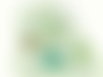 ベンチの設置について