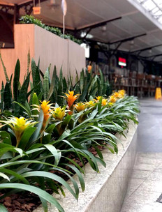 Shopping Estação