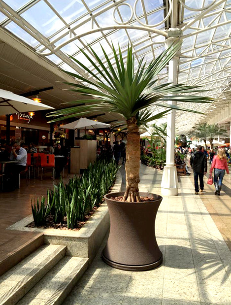 Shopping Estação