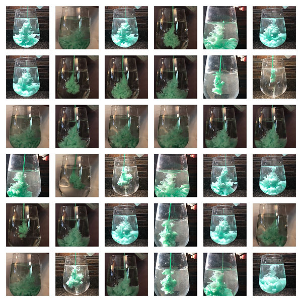 Final Photoshoot Collage.jpg