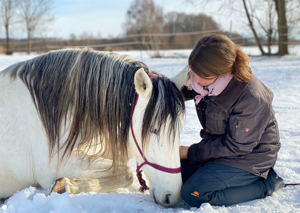 EquiHuman Kommunikation mit Pferden, Pferdetraining, Beziehung Mensch und Pferd