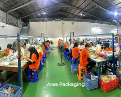 Gemini_Generated_Image_i5e8e0i5e8e0i5e8 (1)_edited_edited_edited