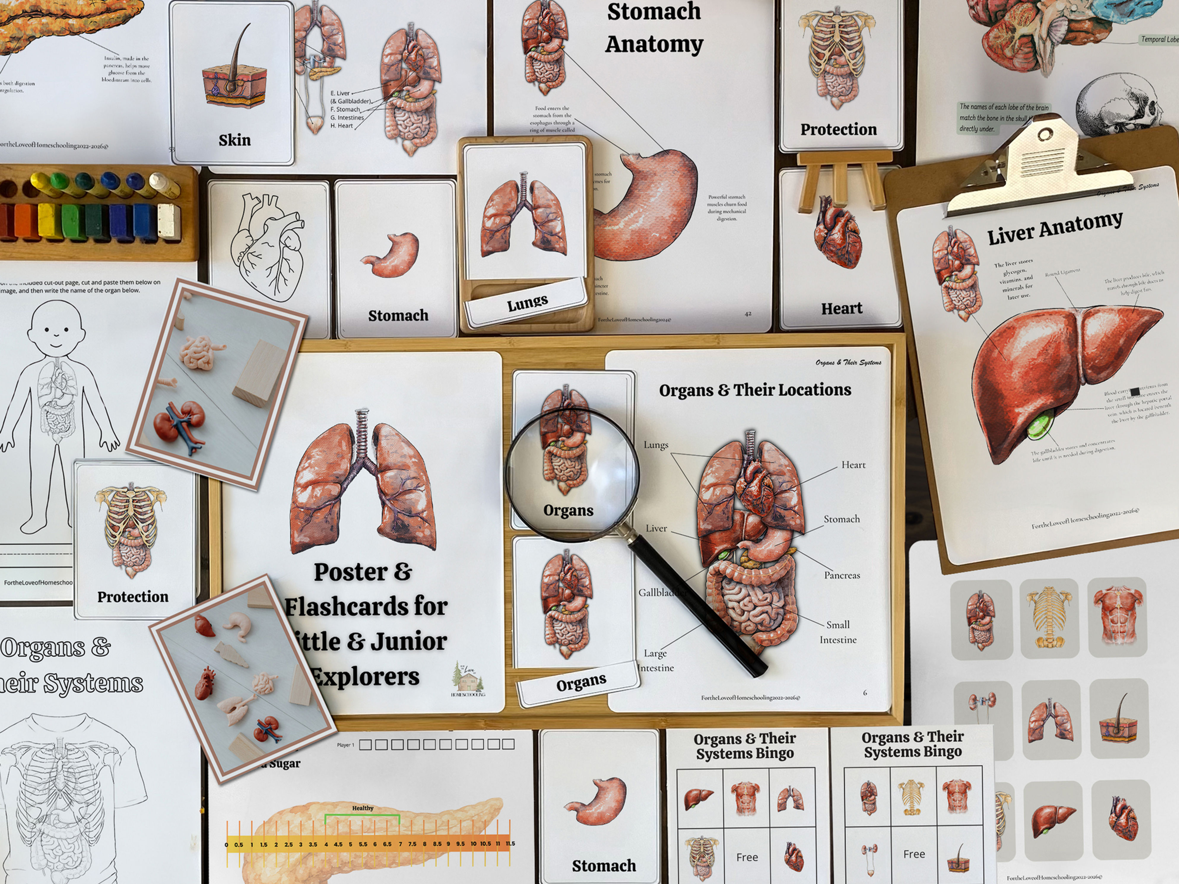 Organs & Their Systems Nature Study Club
