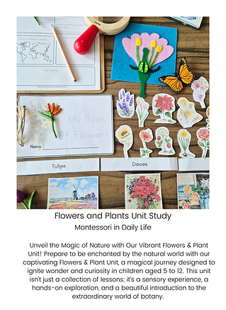 S_Montessori in Daily Life.png