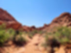 Mountain ranges of the fire canyon in the Nevada desert with plants in front