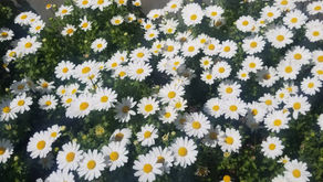 介護のお仕事は、人間関係の上に成り立つ仕事。