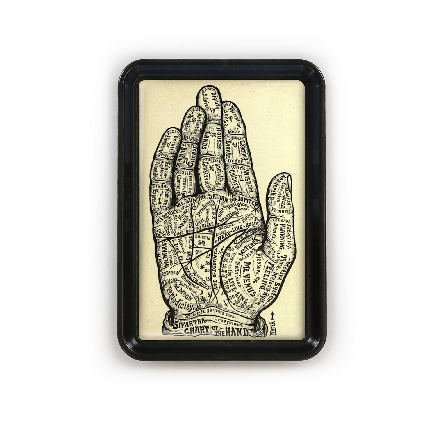 Classic Tray - 5576S