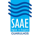 SAAE.png