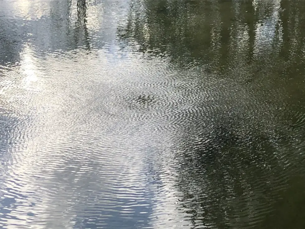 Hochsensibilität – Mythos oder hilfreiche Selbsterkenntnis?