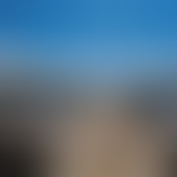 Loulou À Ramatuelle