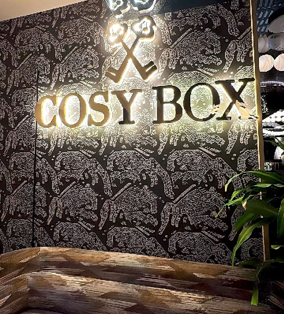 The popular restaurant-lounge Cosy Box on Park Street, Kolkata, is the place to go for food from around the world. The menu offers European, Asian, and Turkish selections, all under one roof. It is more like a luxurious in-style social set where people come to eat, have a drink, and listen to music, rather than just a restaurant with food. The space and ambiance are well-suited both for relaxed meals and a fun night out with friends.